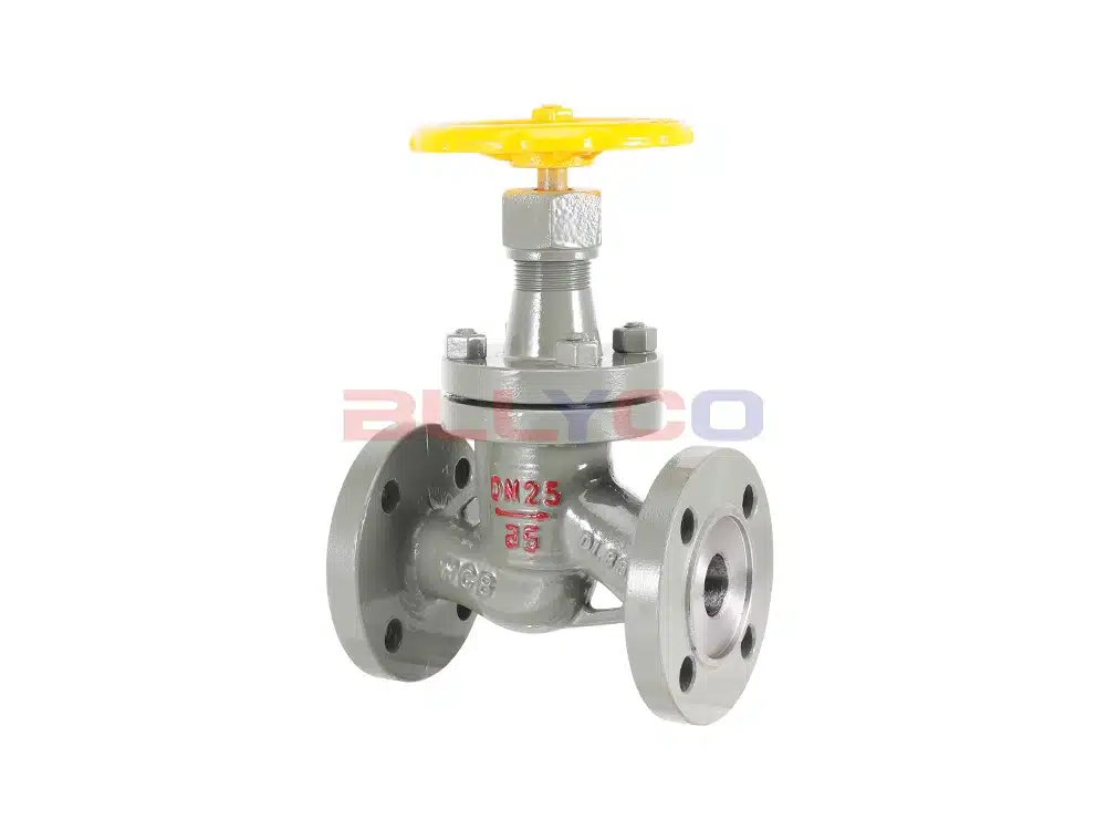 铸钢氨用截止阀 J41B-25C