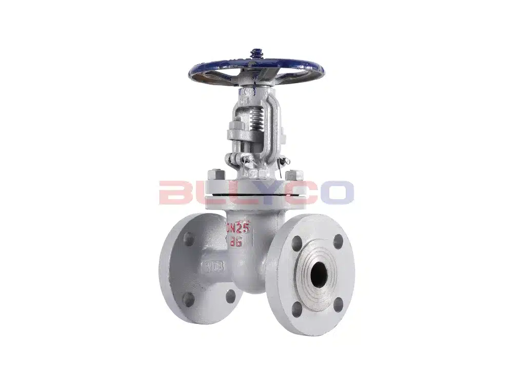 铸钢法兰闸阀 Z41H-16C