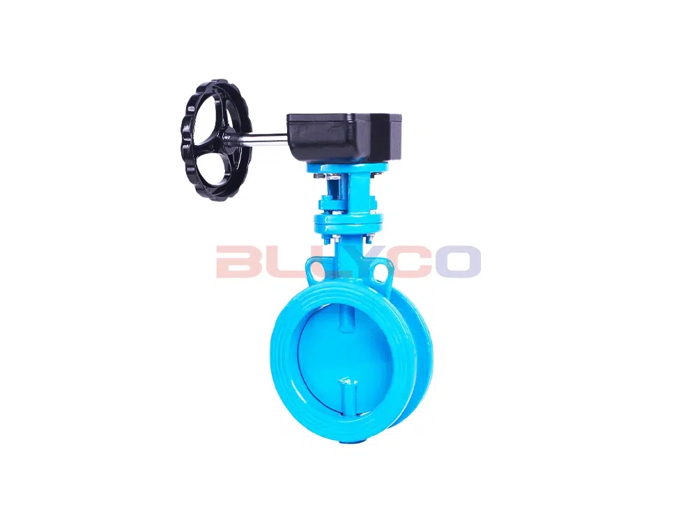 铸钢涡轮对夹通风蝶阀 D371W-1C