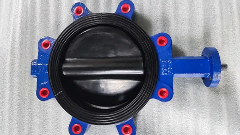 蝶阀密封材质PTFE与EPDM区别