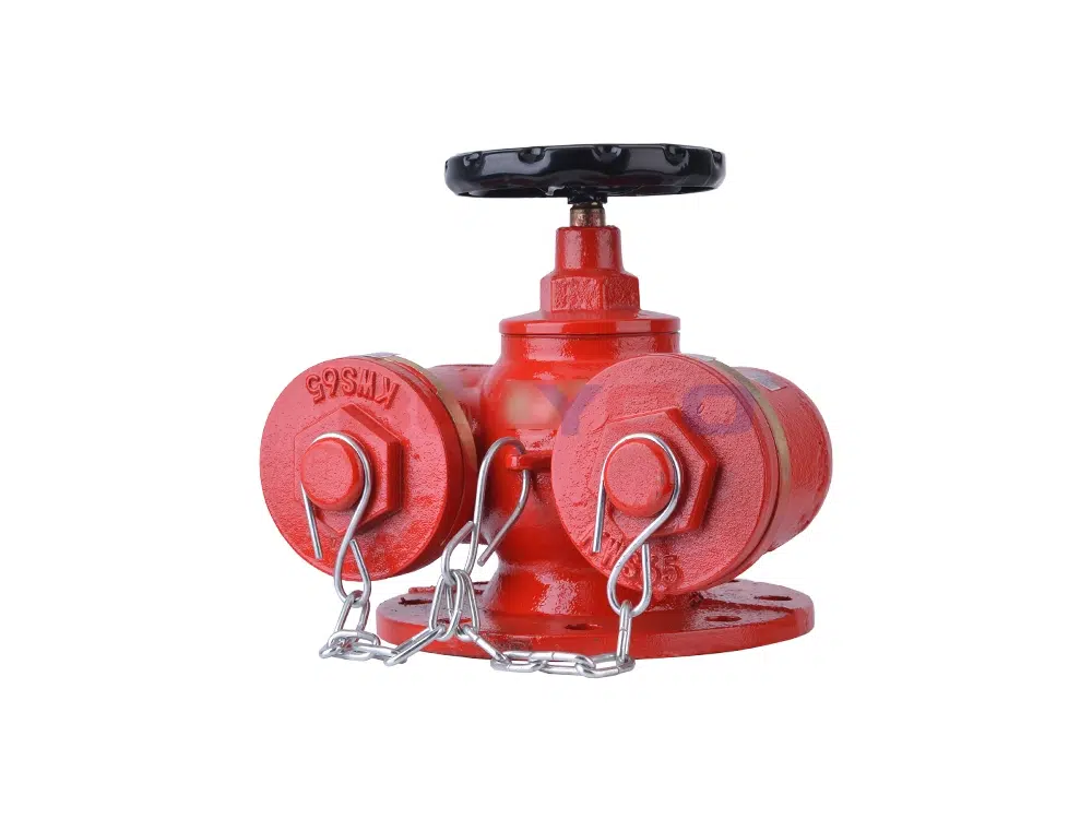 地上式新型水泵接合器 SQD100/150-1.6