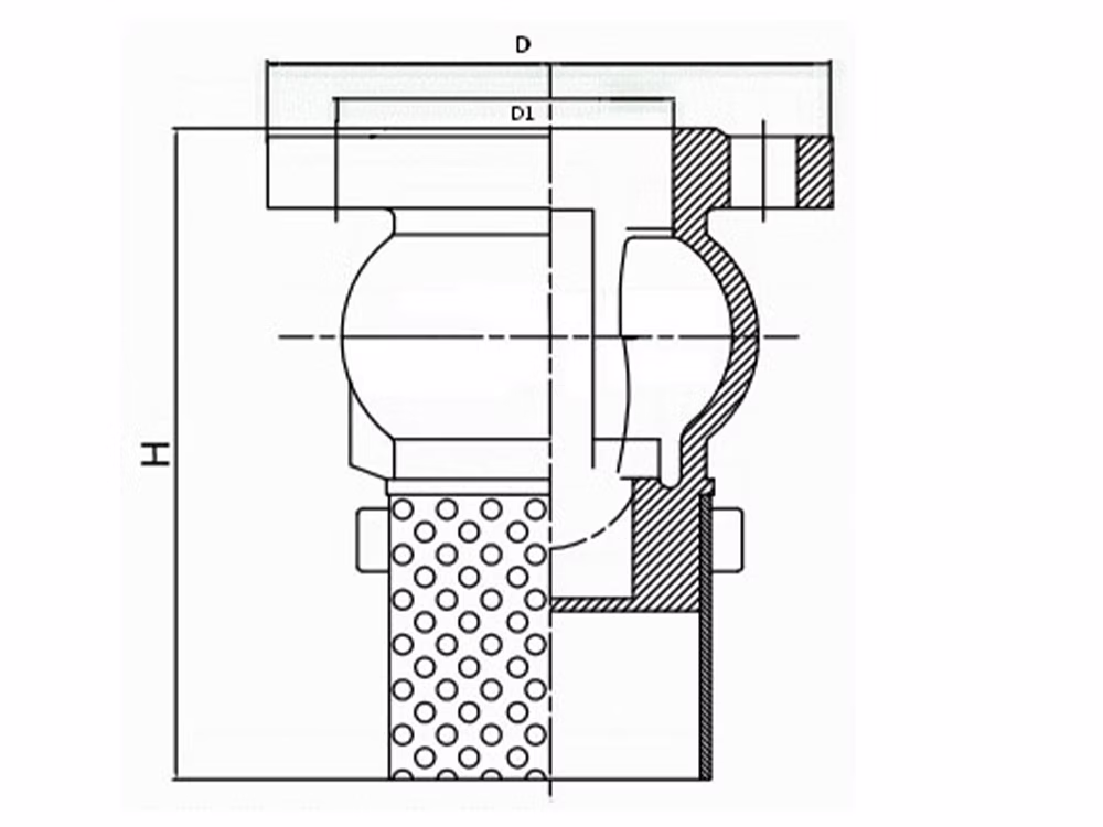 Ductile Iron Strainer-Type Flanged Foot Valve H42X-16Q