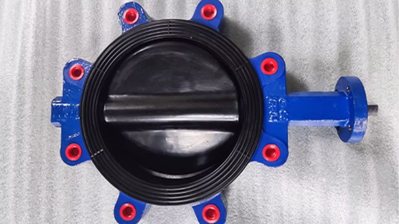 Bahan segel katup kupu-kupu perbedaan PTFE dan EPDM
